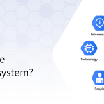 knowledge-management-system-key-components