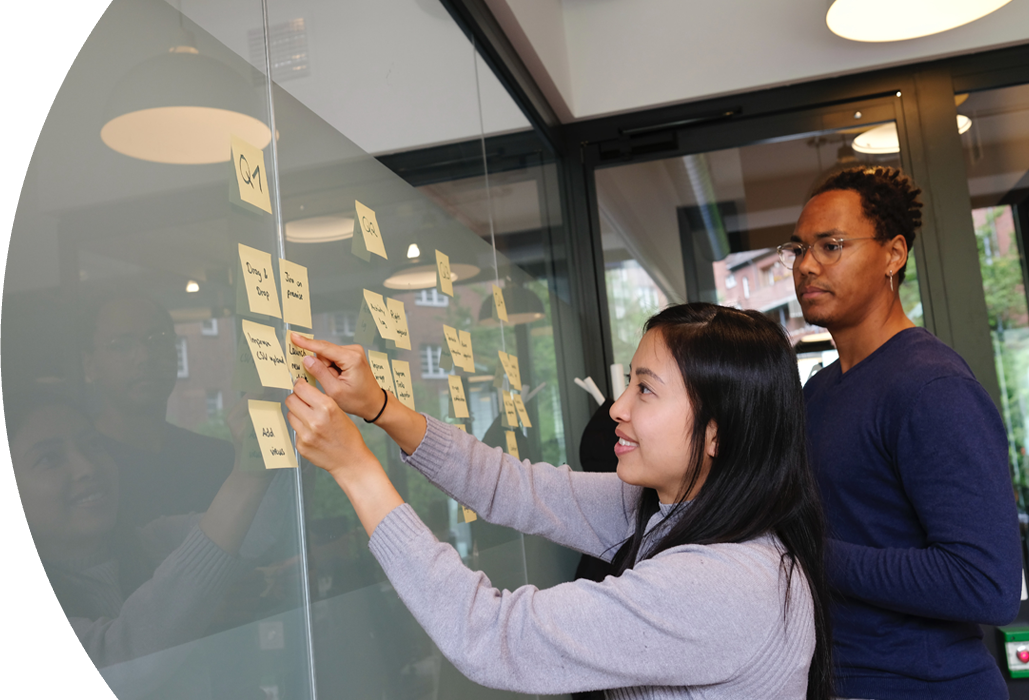 Knowledge Management System Development