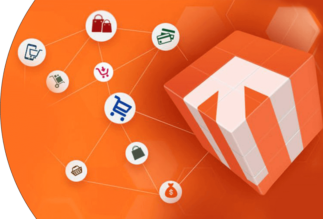 Hire Magento Developer